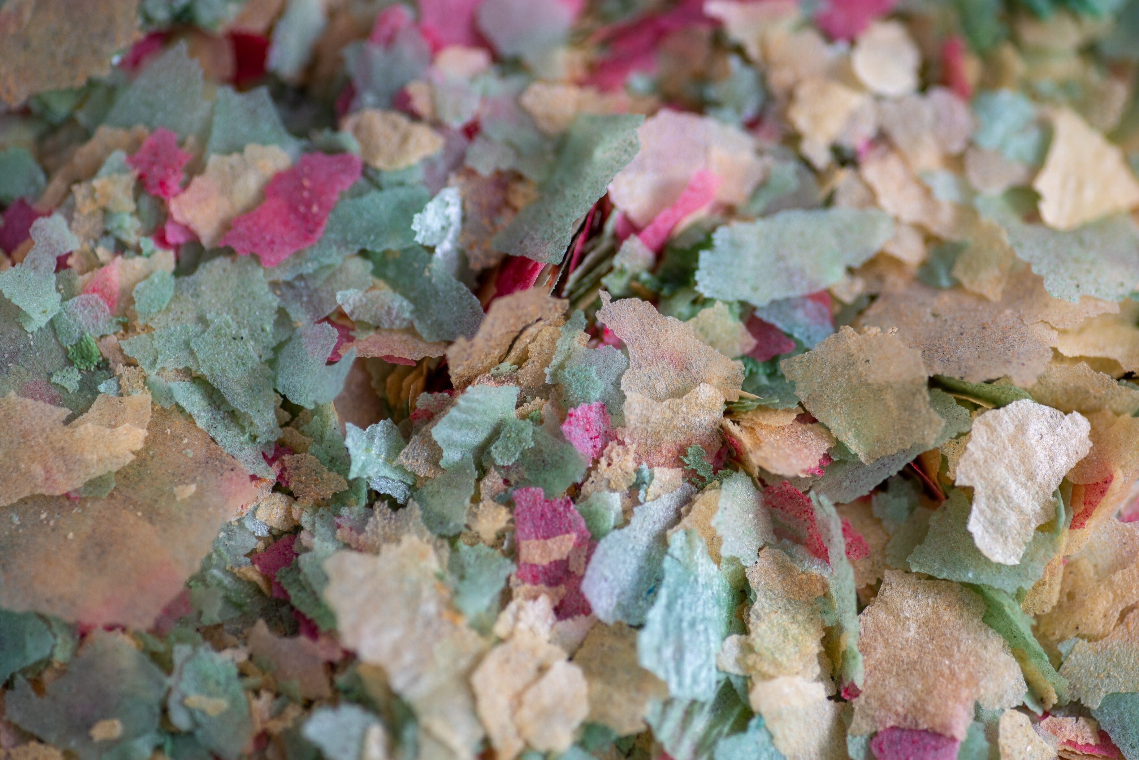 Fish Flakes