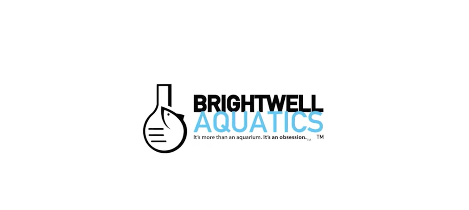 Brightwell Aquatics, Brightwell, brightwell aquatics lugol's solution, brightwell aquatics neomarine salt mix, brightwell aquatics elemental, brightwell aquatics product, brightwell aquatics substrate