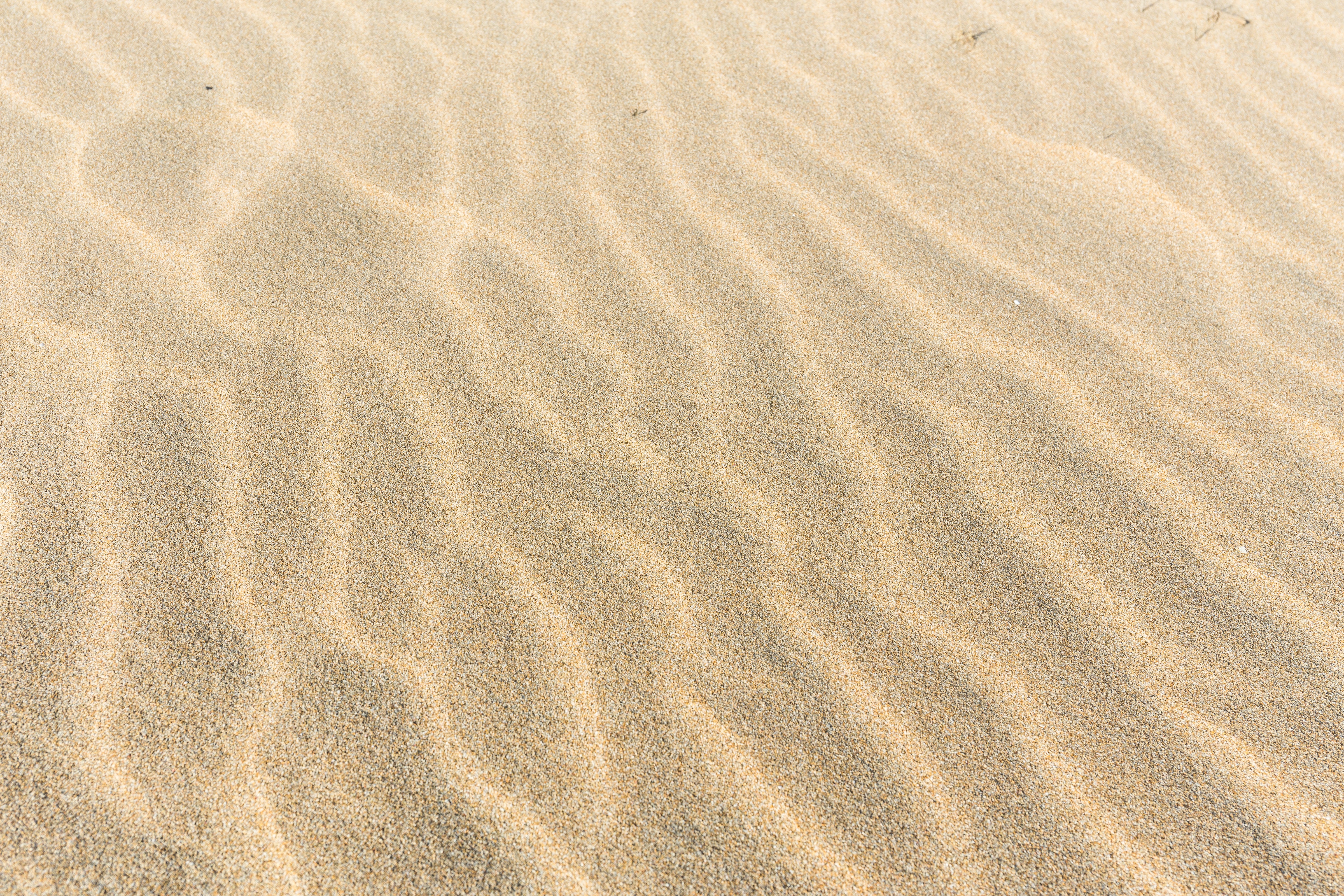 Aquarium Sand | Aquascaping Supply