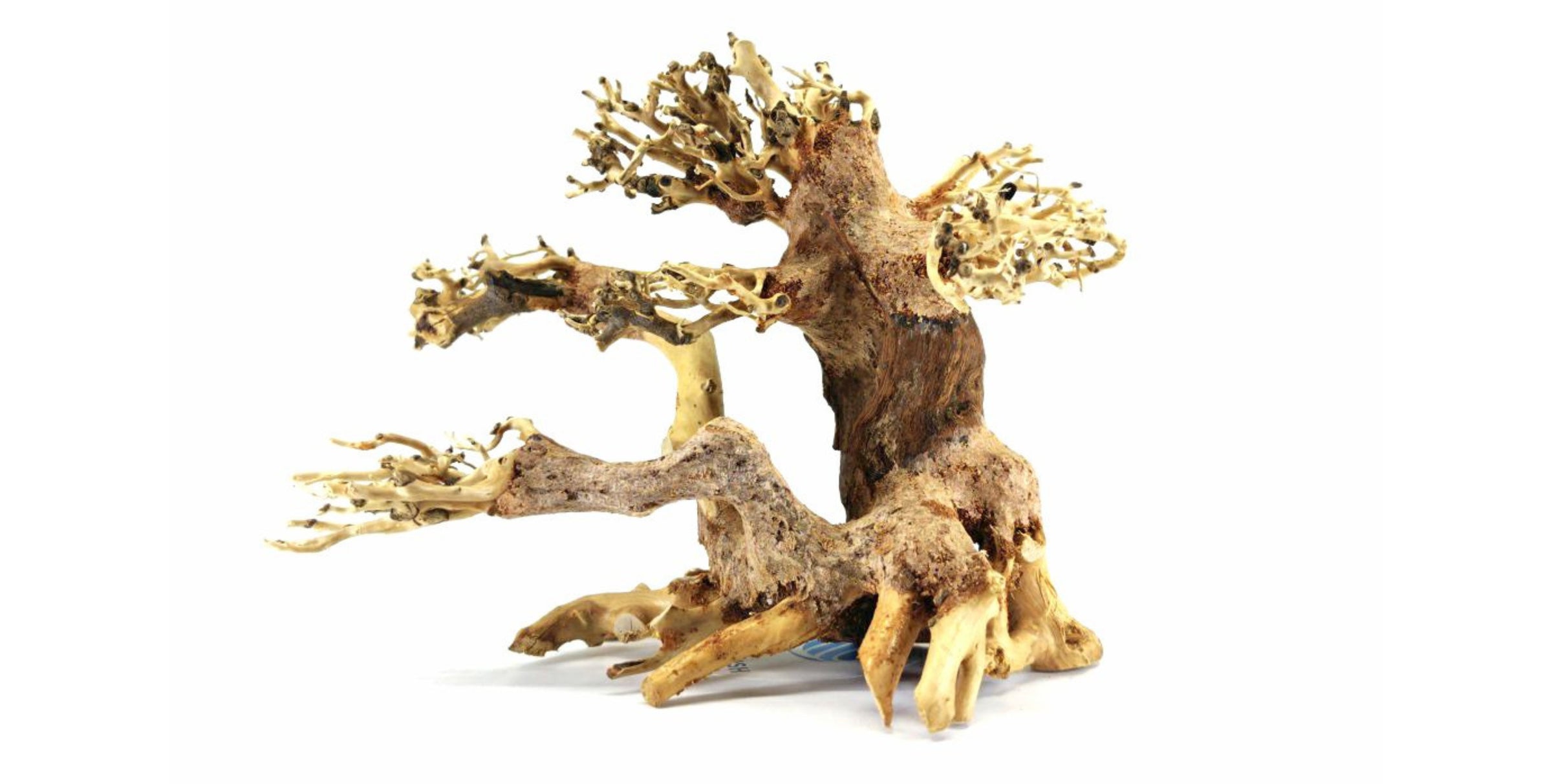 aquarium decorations for sale, fish decor, aquarium decoration, fish decoration, fish tank decoration, natural decoration for sale, buy decoration for fish tank online, decoration for aquascape, aquascaping decoration