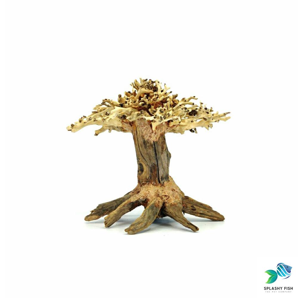 Aquarium Bonsai Driftwood | Fish Tank Supplies & Decorations