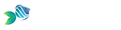 Splashy Fish Founded by Hobbyist, Run with Passion