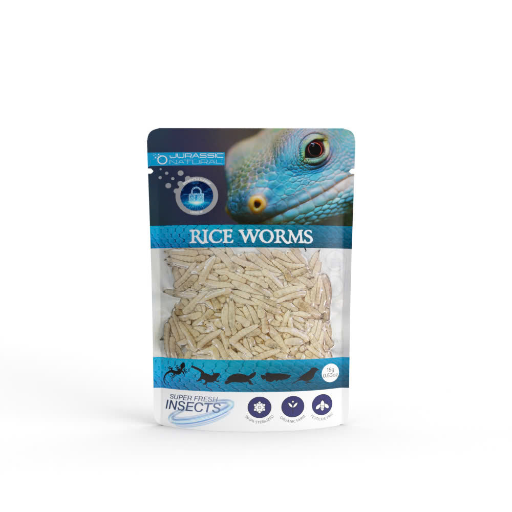 Pisces USA Aqua Natural Riceworm Single Pack for sale | Splashy Fish
