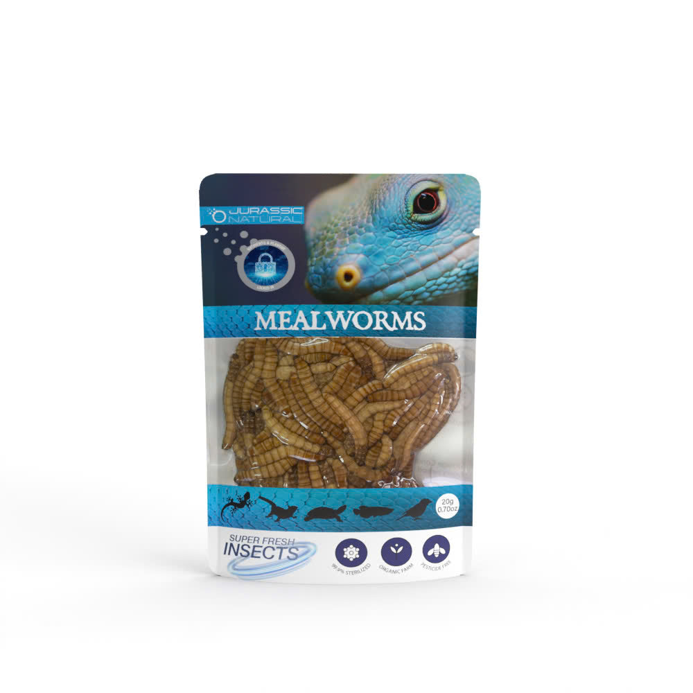 Pisces USA Aqua Natural Mealworm Single Pack for sale | Splashy Fish