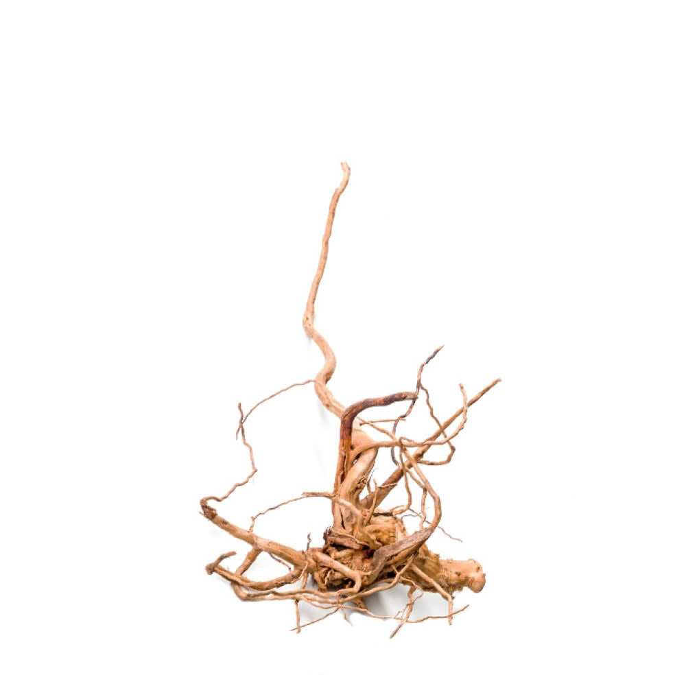 Pisces USA Aqua Natural Spiderwood for sale