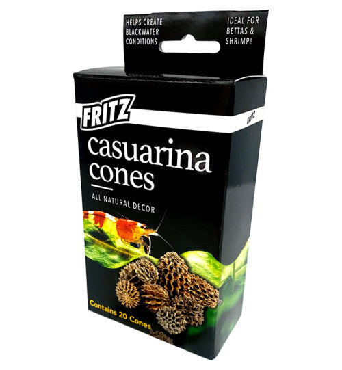 Fritz Casuarina Cones 20pk for sale | Splashy Fish