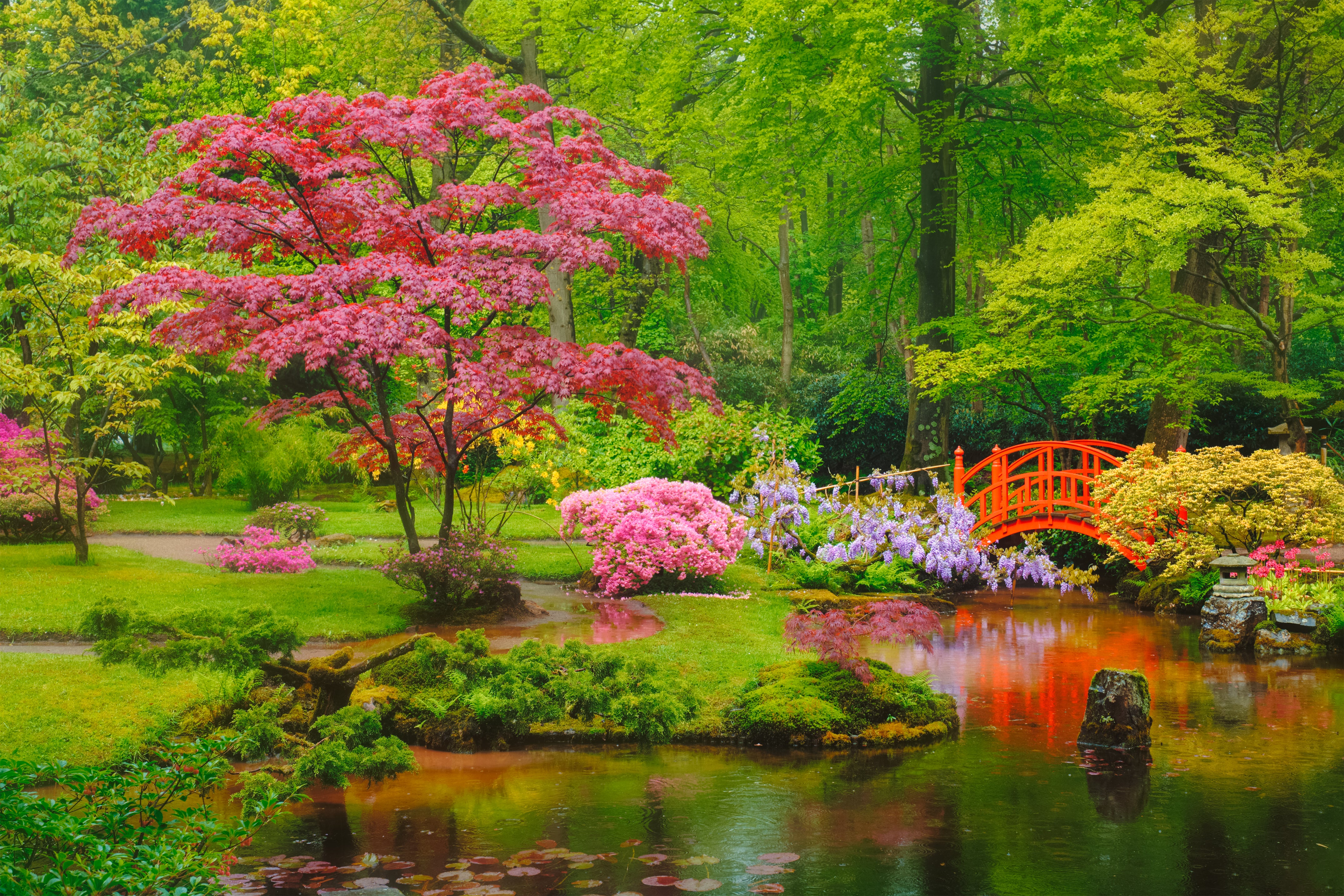 Pond Cleaning and Maintenance in Fairfax County Northern Virginia (VA), Leesburg, Loudoun County, Washington DC, and Maryland.