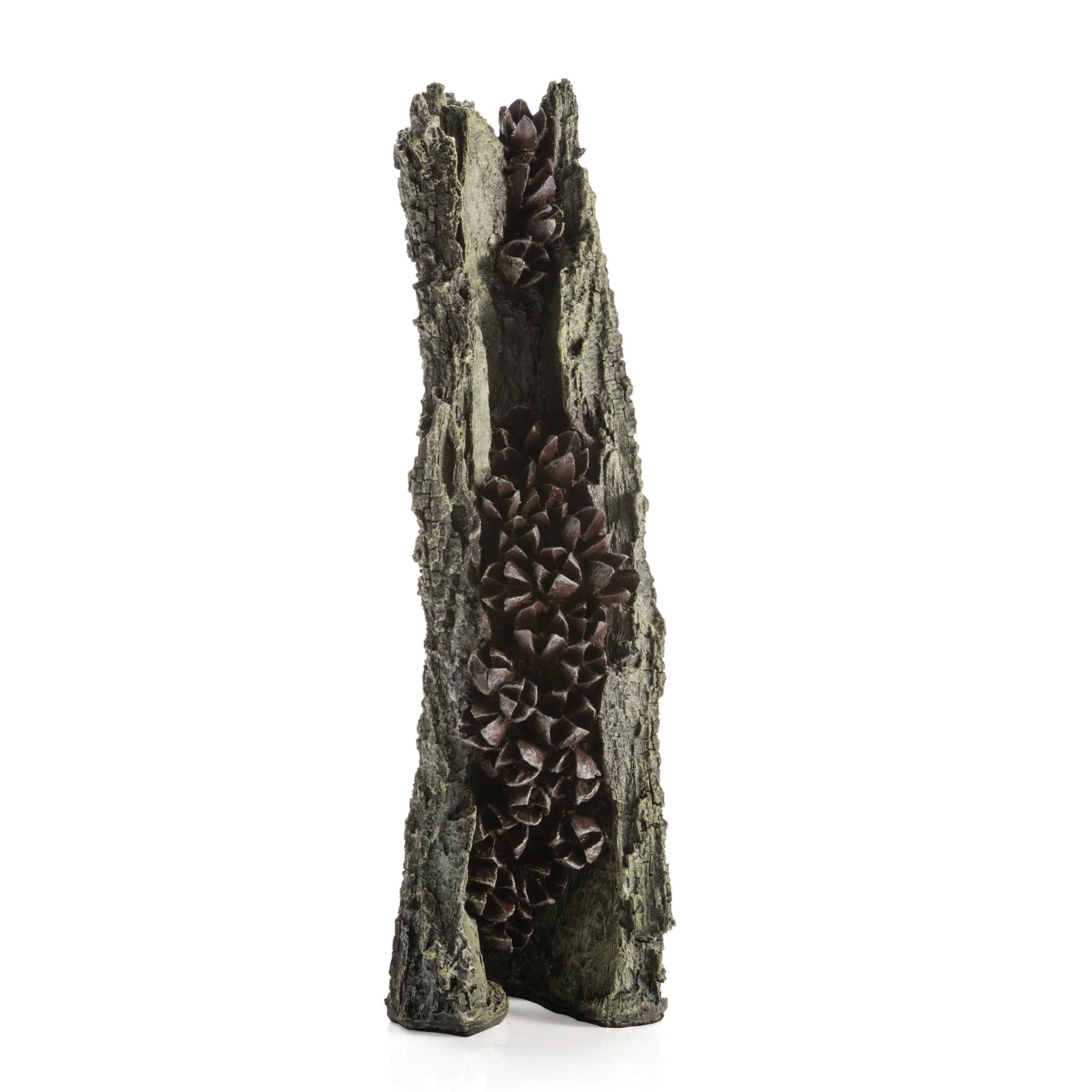 OASE BIORB BARK WITH SEEDPOD LARGE | Splashy Fish| Splashy