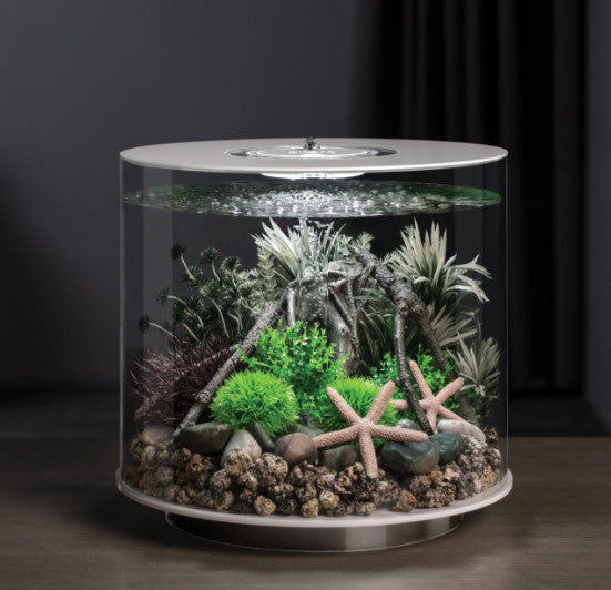 Amazonas Elements Sculpture | Splashy Fish