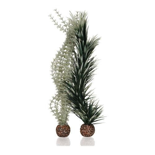 Grey-Green Ambulia Plant Set, large