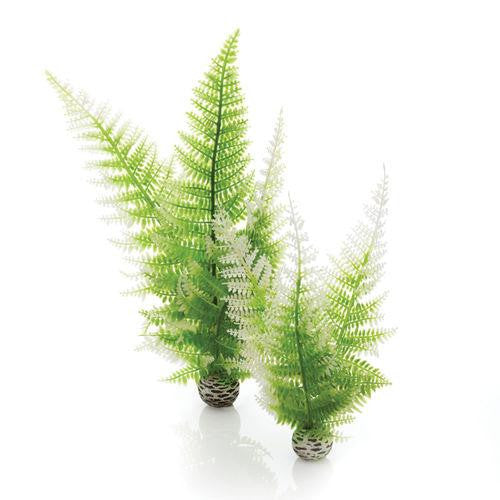 Fern Plant Set Green | Splashy Fish