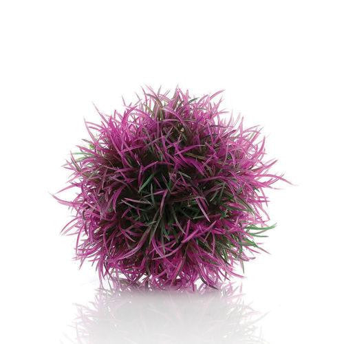 Aquatic Color Ball purple | Splashy Fish