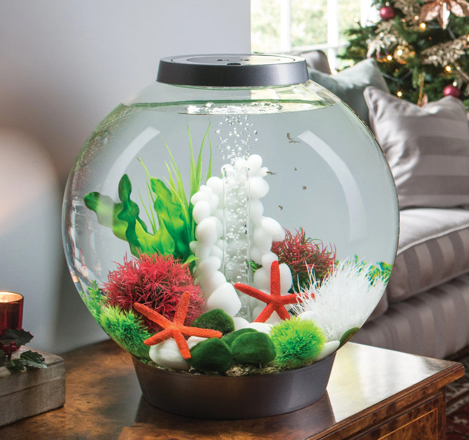 Aquatic Color Ball red | Splashy Fish