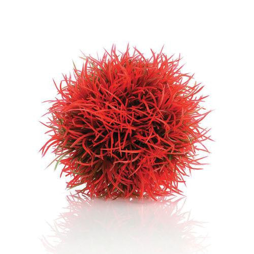 Aquatic Color Ball red | Splashy Fish