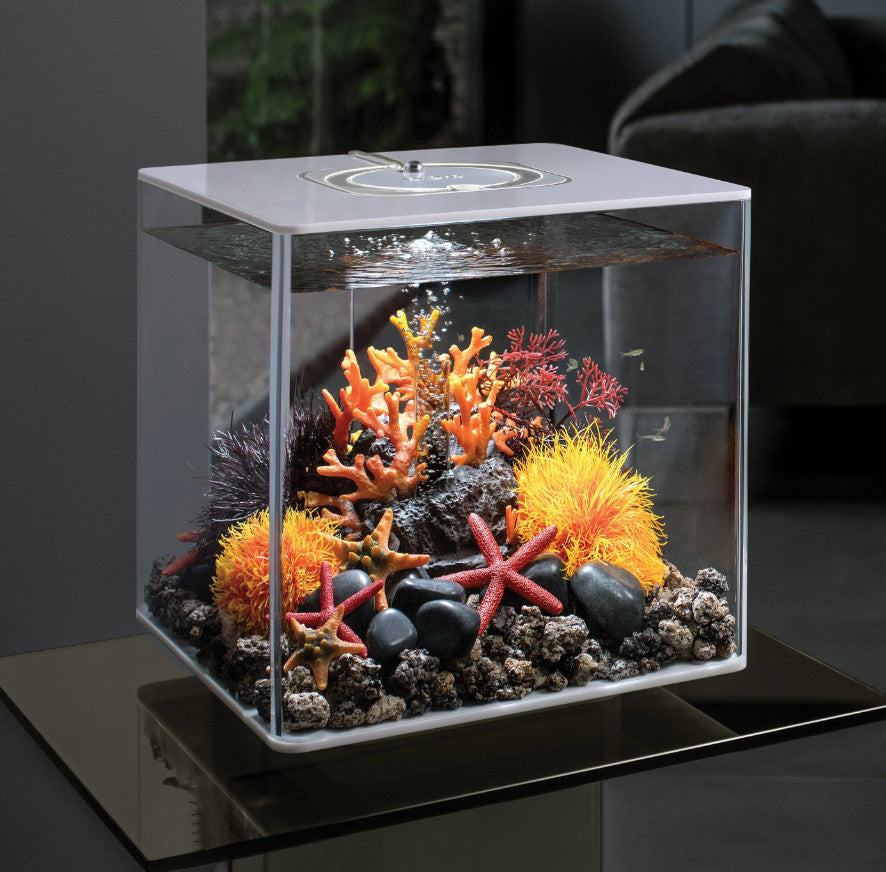 Aquatic Color Ball orange | Splashy Fish