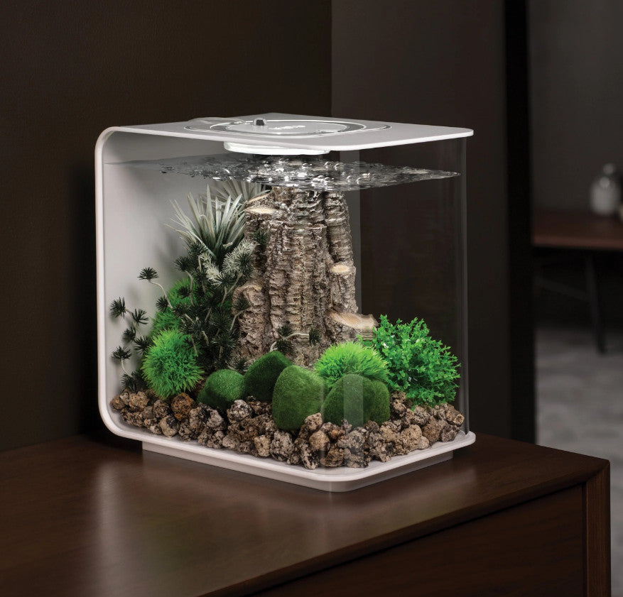 Aquatic Topiary Ball Set | Splashy Fish