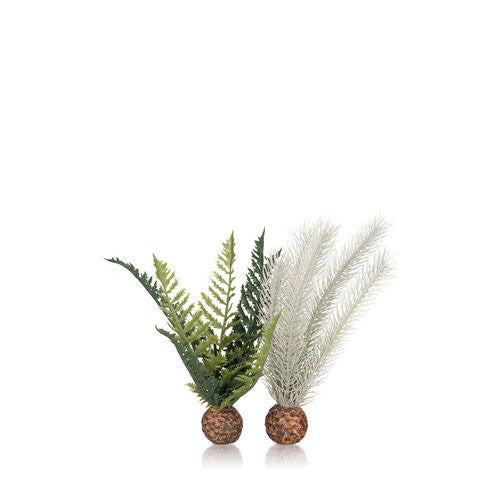 Thistle Fern Plant Set, small grey/green | splashy fish