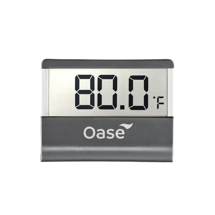 Digital Thermometer | splashy fish