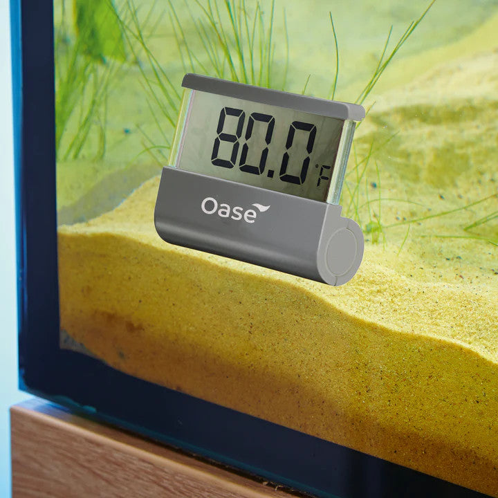 Digital Thermometer | splashy fish