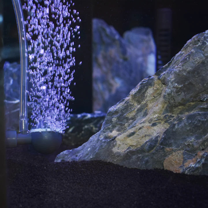 OxyMax 400 | splashy fish