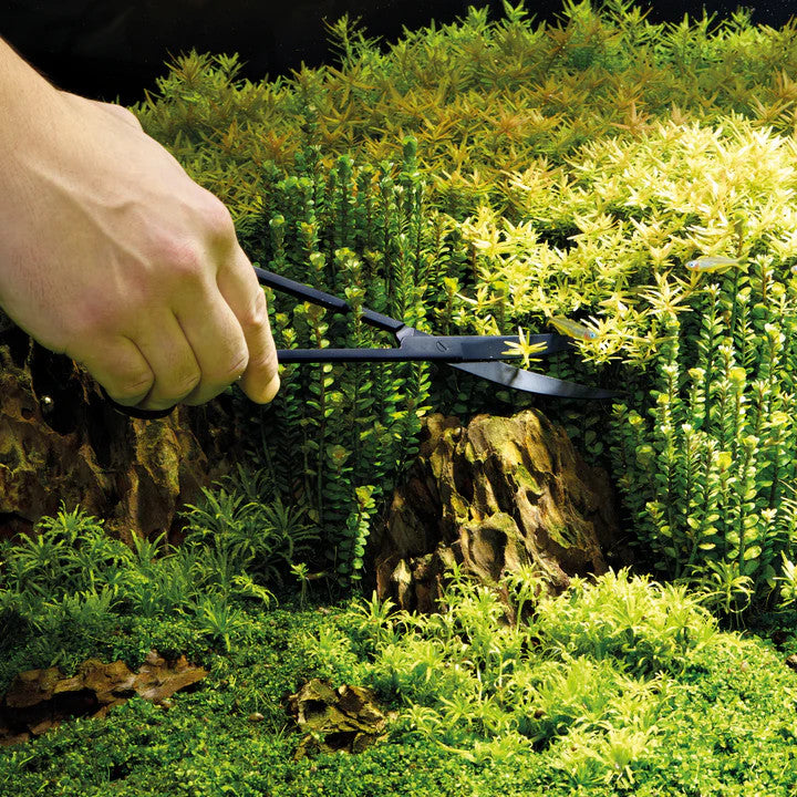 Plant Scissors | splashy fish