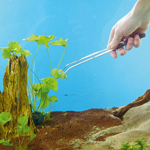 Plant Tweezers | splashy fish