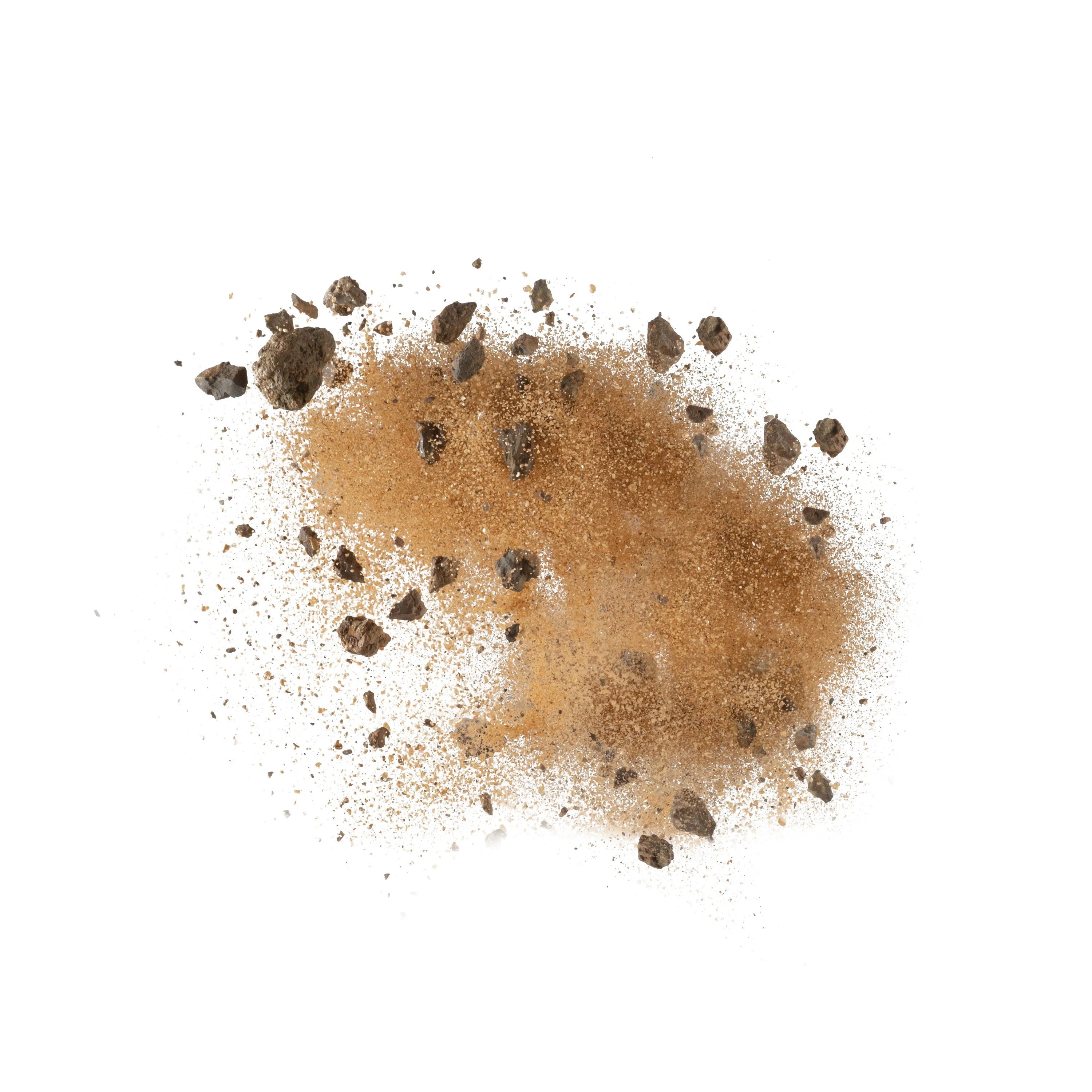 EARTH Desert Bedding | splashy fish