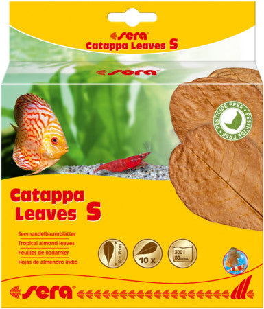 sera Catappa Leaves S For sale |Splashy Fish