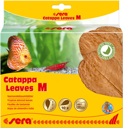 sera Catappa Leaves M For sale |Splashy Fish