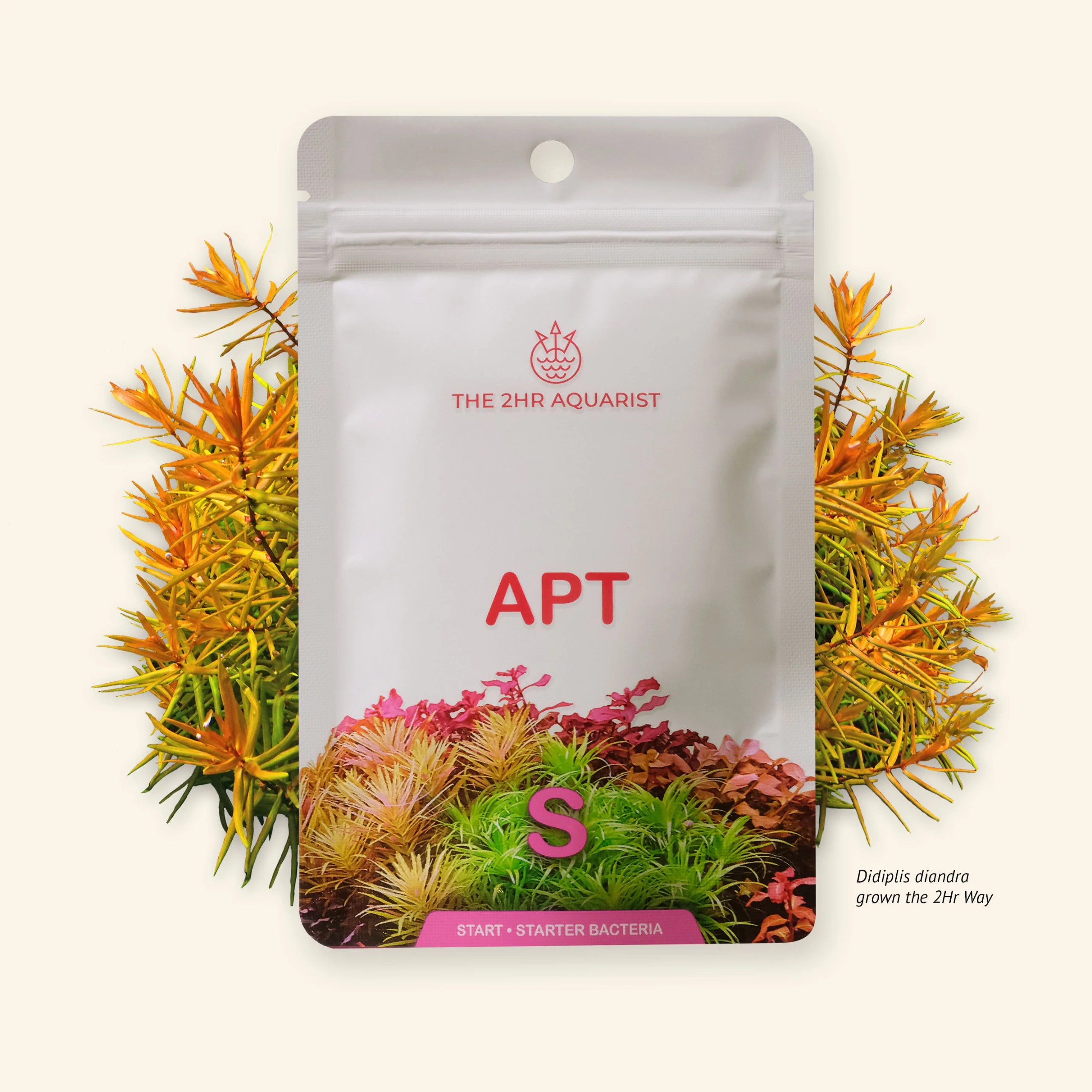 2Hr Aquarist APT Start for sale | Splashy Fish