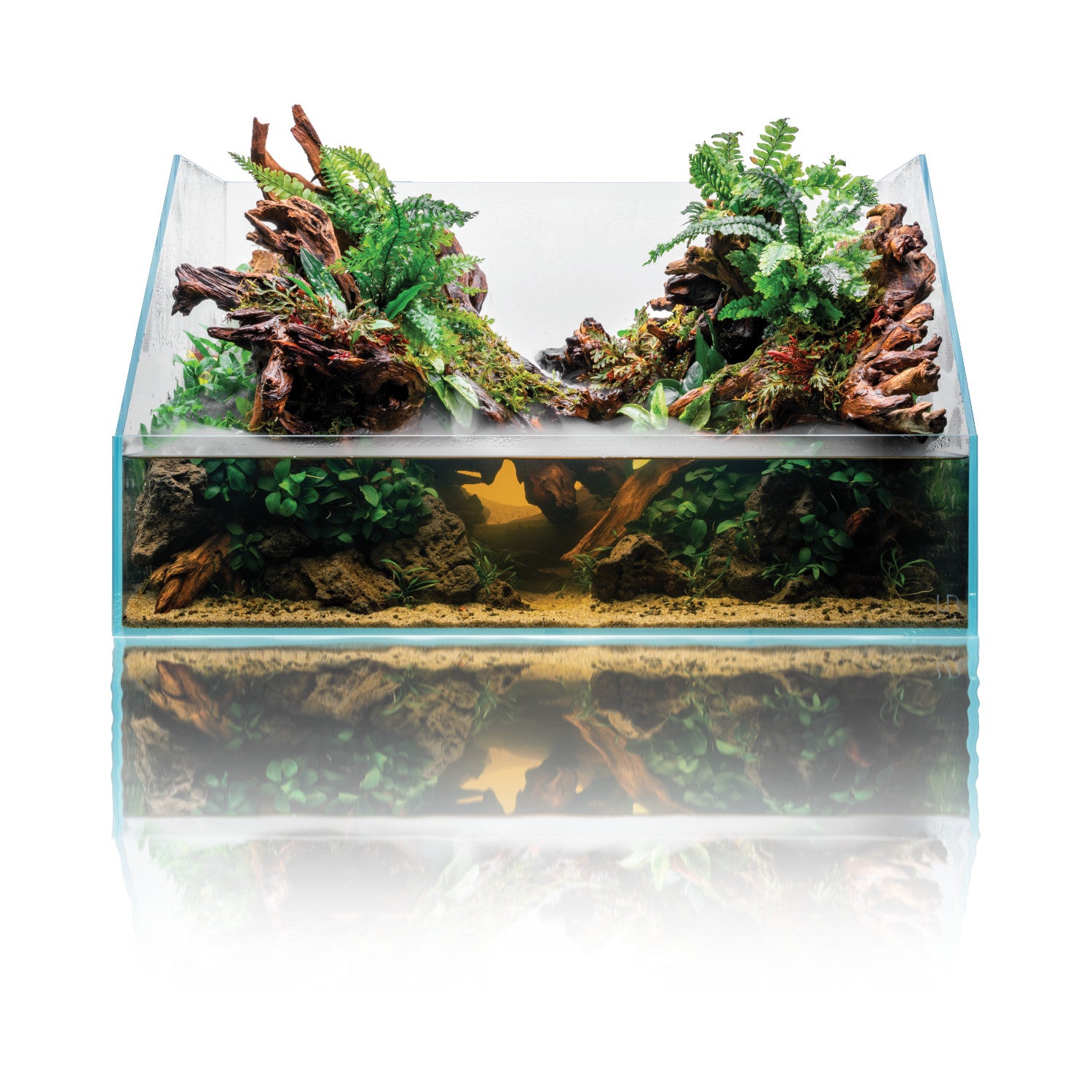 UNS Rimless Paludariums 60E for sale | Splashy Fish