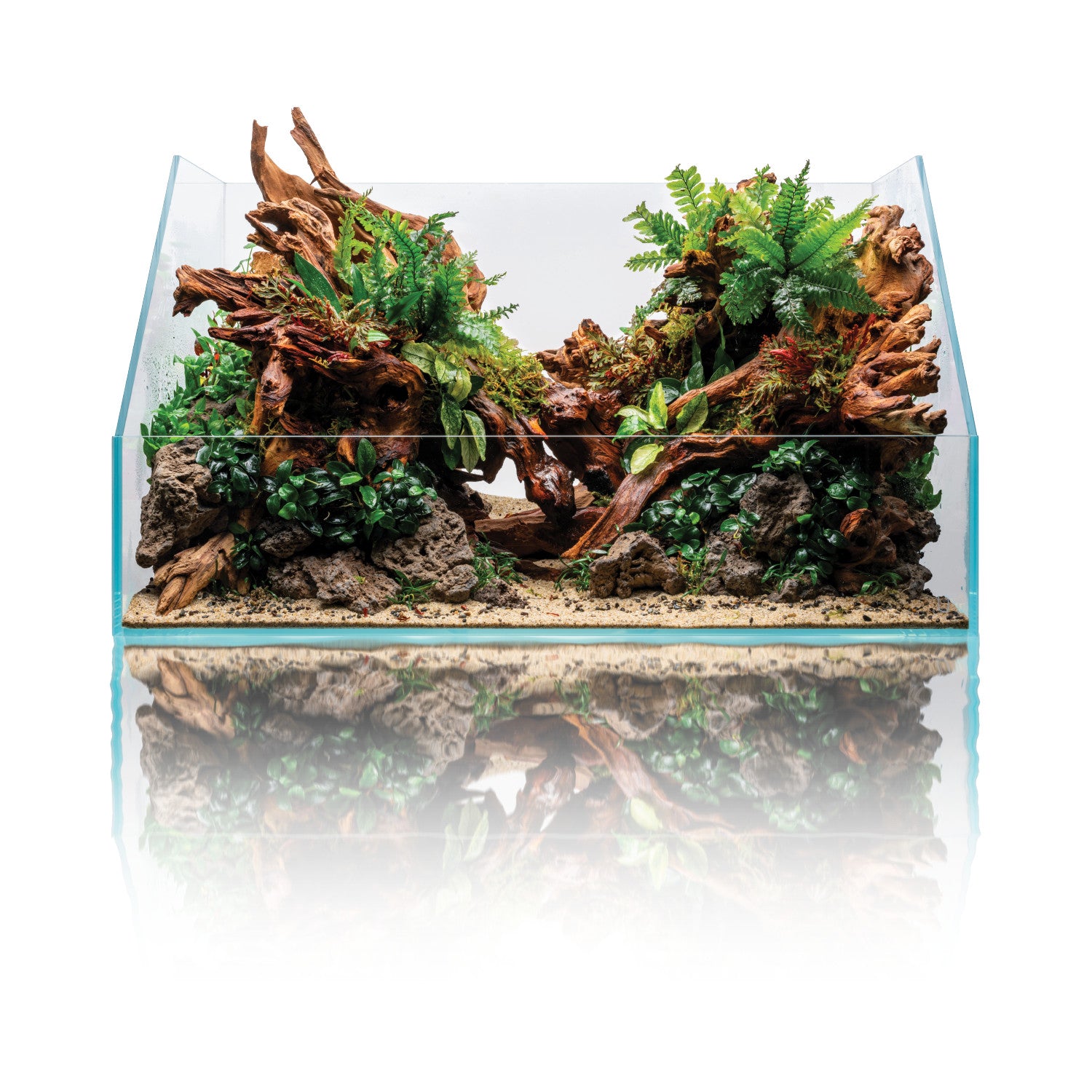 UNS Rimless Paludariums 60E for sale | Splashy Fish