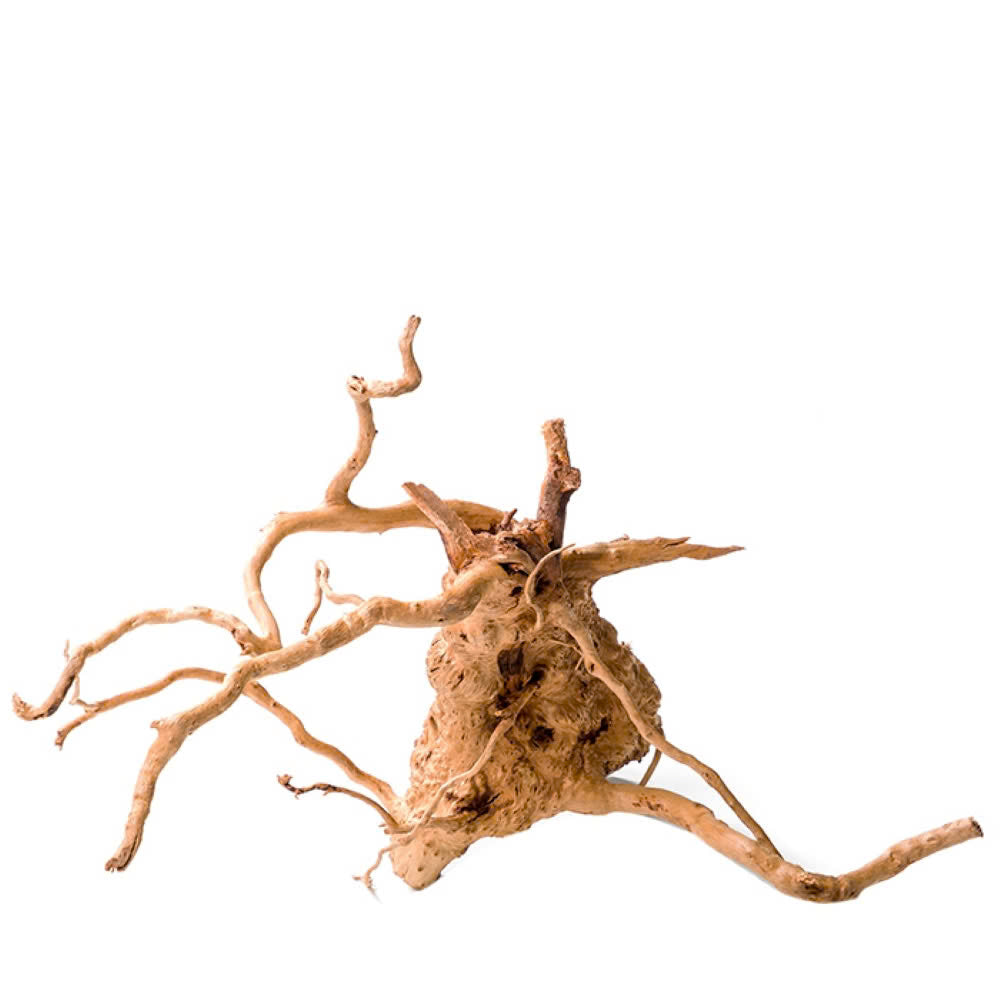 Pisces USA Aqua Natural Spiderwood for sale