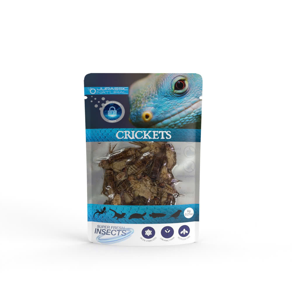 Pisces USA Aqua Natural Cricket Single Pack for sale | Splashy Fish