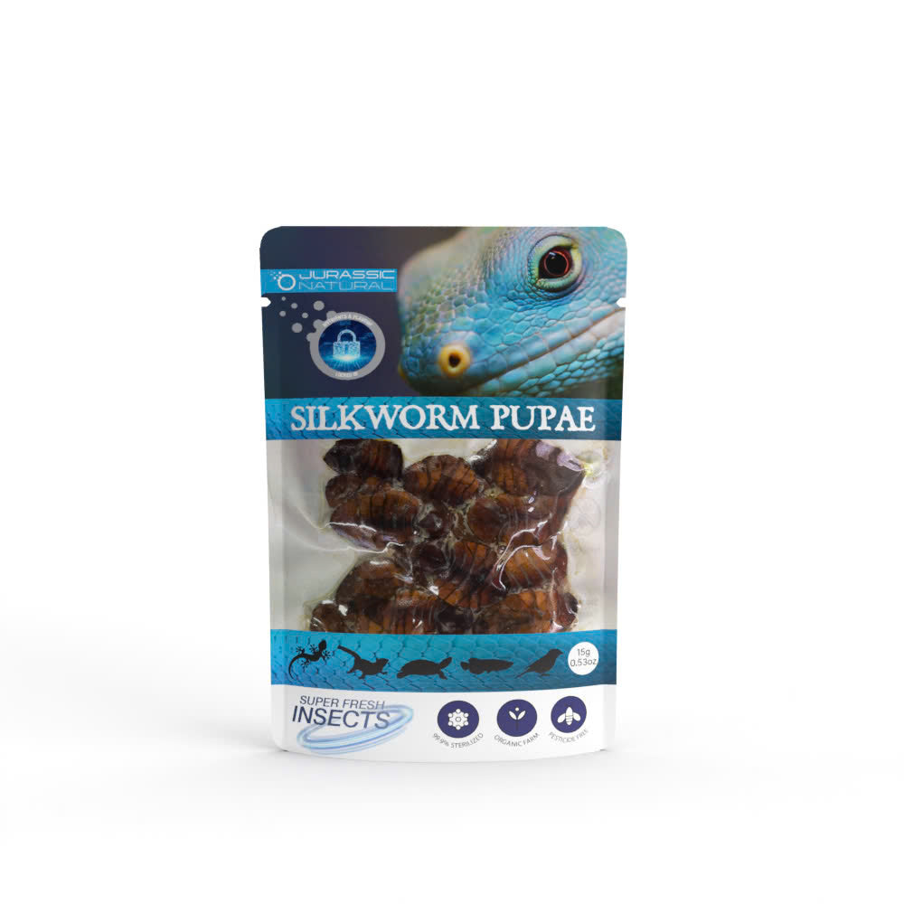 Pisces USA Aqua Natural Silkworm Pupae Single Pack for sale | splashy Fish