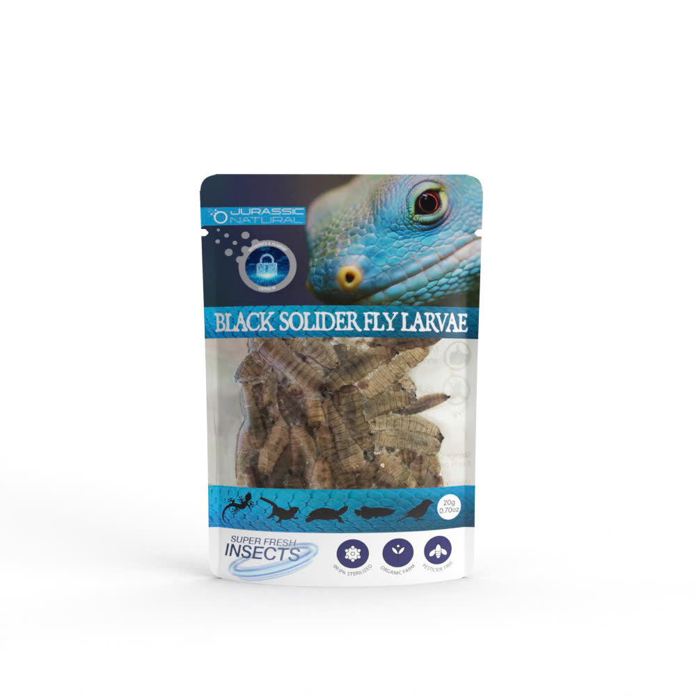 Pisces USA Aqua Natural Black Soldier Single Pack for sale | Splashy Fish