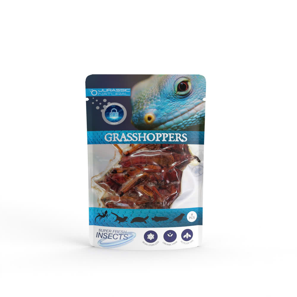 Pisces USA Aqua Natural Grasshopper Single Pack for sale | Splashy Fish