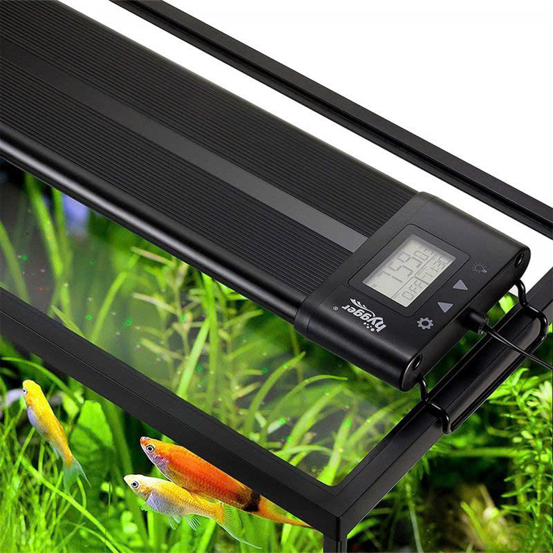 Hygger Planted Aquarium Lighting 24/7 Light for sale | Splashy Fish