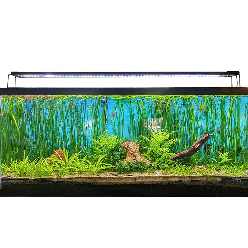 Hygger Planted Aquarium Lighting 24/7 Light for sale | Splashy Fish