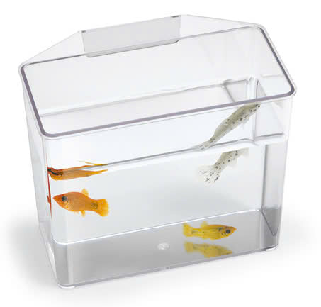 Lee's Aquarium Break Resistant Specimen Container small