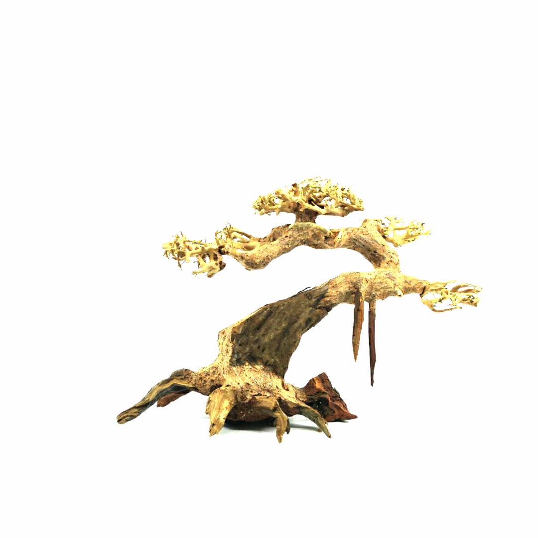 Driftwood For Aquarium Wood For Sale | Fish Tank Decorations | driftwood bonsai for sale | driftwood tree | large aquarium driftwood
