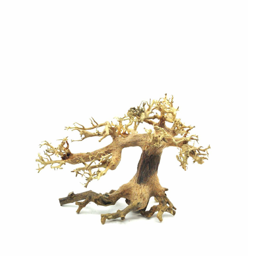 Aquarium Driftwood for sale | Bonsai Driftwood | aquarium root wood | aquarium safe driftwood | aquarium safe wood | aquarium tannins | aquarium tree plant | aquarium wood decor
