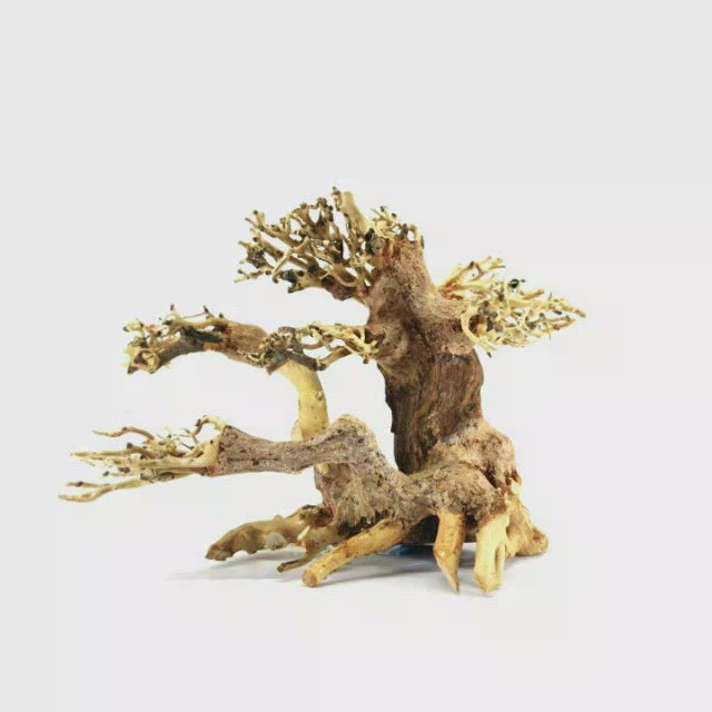 Bonsai in Aquarium Driftwood For Sale | Fish Tank Supplies | aquarium tree decor | aquarium tree decoration | aquatic bonsai | aquatic bonsai tree | aquatic bonsai tree | artificial bonsai tree for aquarium