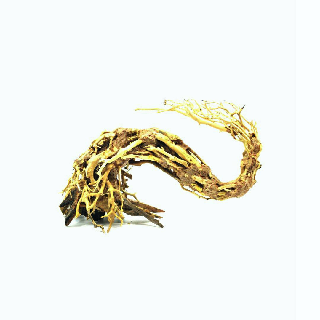 Driftwood Aquarium Aquascape | Aquascaping Fish Tank aquascape inspiration | benefits of lava rock in aquariums | The best driftwood for aquariums | best bonsai for texas