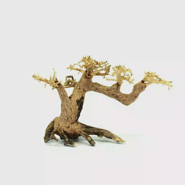Aquascape Bonsai Tree | Aquarium Driftwood For Sale | tall aquascape small driftwood for sale | real driftwood for fish tank | real bonsai for sale | driftwood for aquariums | aquaspace aquarium