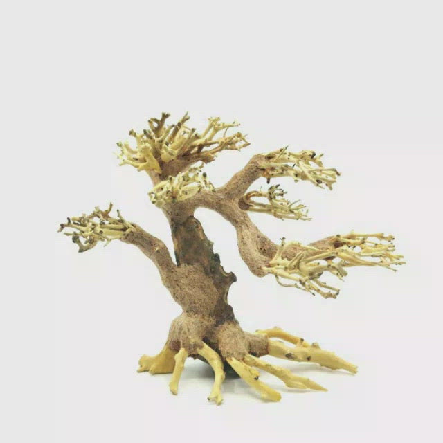 Aquarium Bonsai Tree | Driftwood Bonsai Tree
