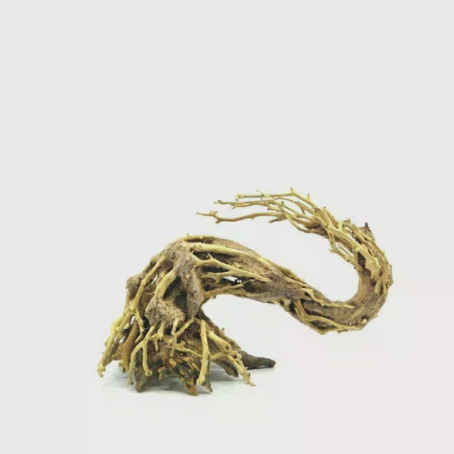 Aquarium Bonsai Driftwood for Sale | Aquascape Bonsai | driftwood planted aquarium | live plants for betta tank | tannins aquarium | driftwood fish aquascape bonsai tree