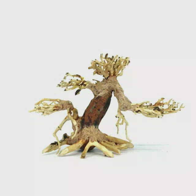 Bonsai Wood Driftwood Aquarium Aquascape | bonsai terrarium for sale | bonsai tree decorations | bonsai tree forest for sale