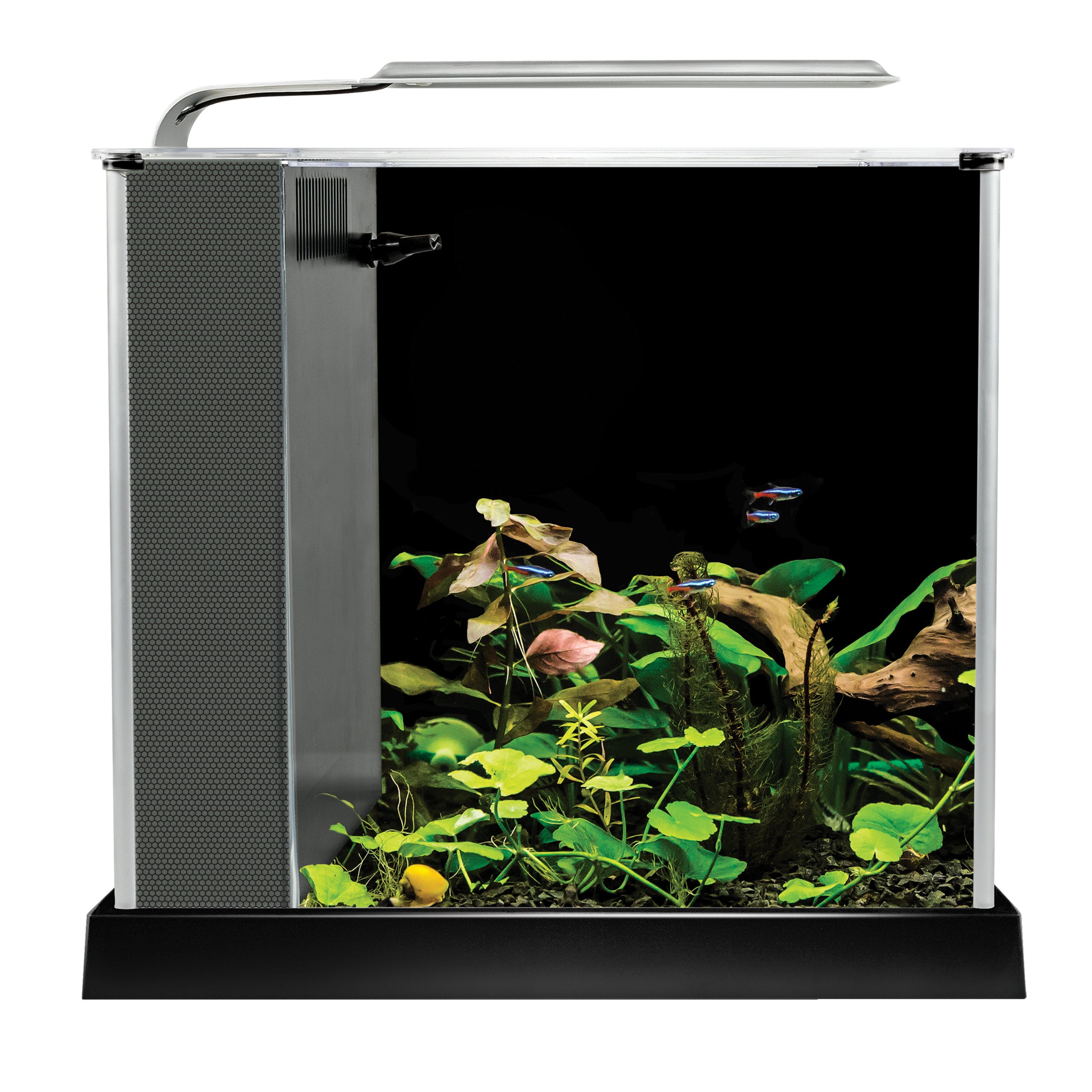 Fluval Spec 2.5 Gallon Aquarium Fish Tank For Sale | 2.5 Gallon Aquarium | 2.5 Nano Fish Tank | Nano Aquarium Fish Tank