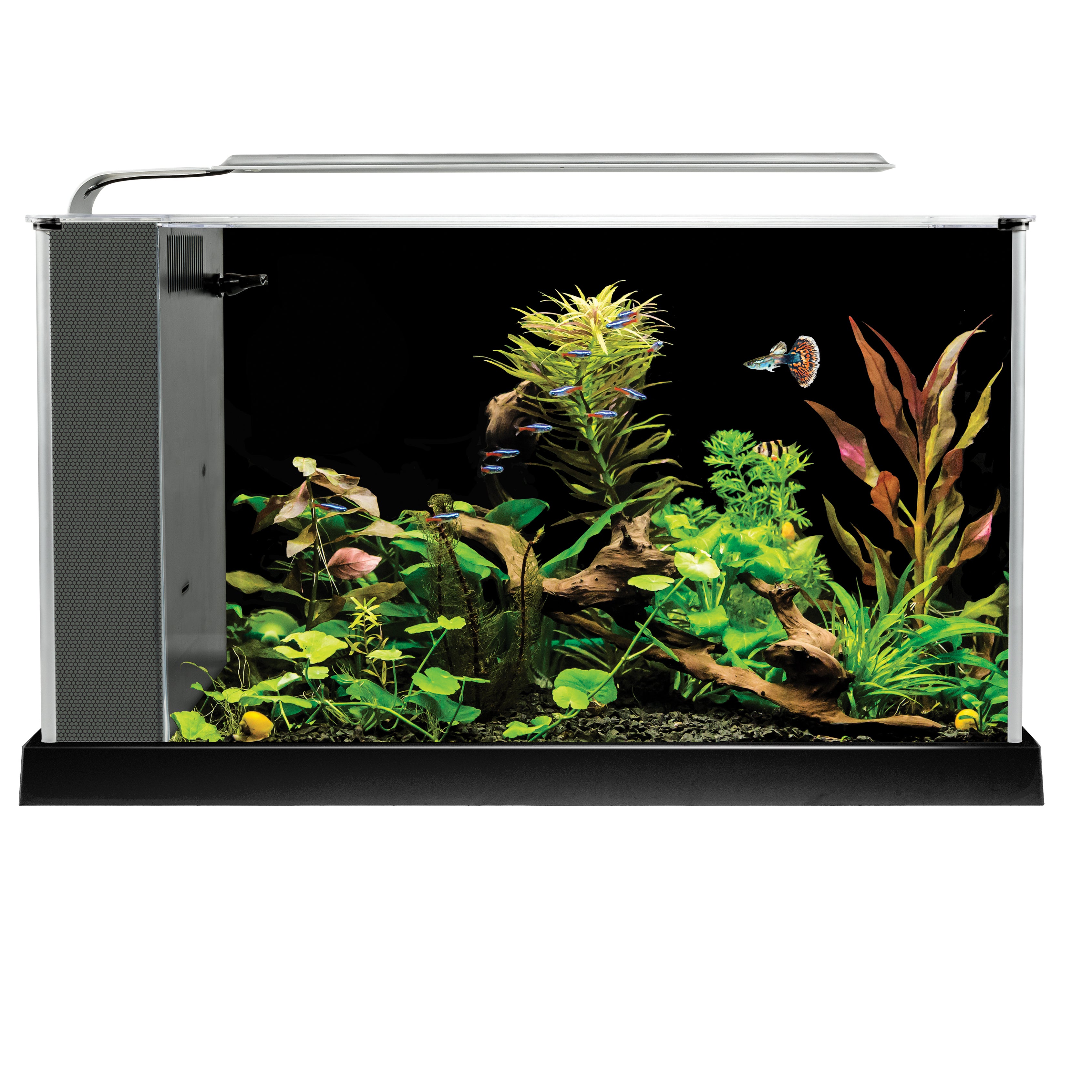 Fluval Spec 5 Gallon Aquarium Fish Tank For Sale | 2.5 Gallon Aquarium | 2.5 Nano Fish Tank | Nano Aquarium Fish Tank | Best Beginner Tank for Betta Fish | Best Beginner Fish Tank for Nano Fish